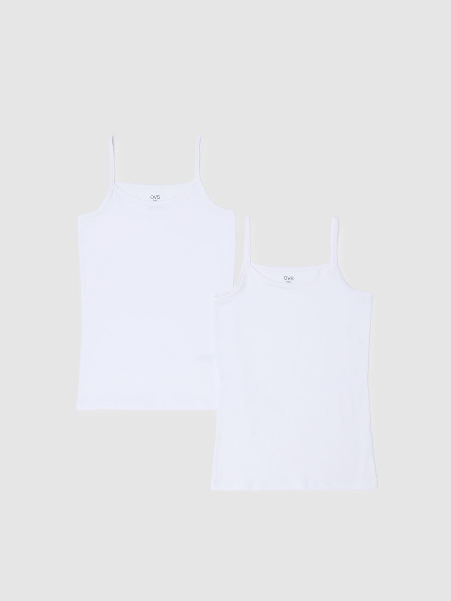 &Delta;&iota;&pi;&lambda;ό &pi;&alpha;&kappa;έ&tau;&omicron; &lambda;&epsilon;&upsilon;&kappa;ώ&nu; &epsilon;&lambda;&alpha;&sigma;&tau;&iota;&kappa;ώ&nu; &beta;&alpha;&mu;&beta;&alpha;&kappa;&epsilon;&rho;ώ&nu; &phi;&alpha;&nu;έ&lambda;&omega;&nu; &gamma;&iota;&alpha; &kappa;&omicron;&rho;ί&tau;&sigma;&iota;&alpha;, &kappa;&alpha;&nu;&omicron;&nu;&iota;&kappa;ή &epsilon;&phi;&alpha;&rho;&mu;&omicron;&gamma;ή_0