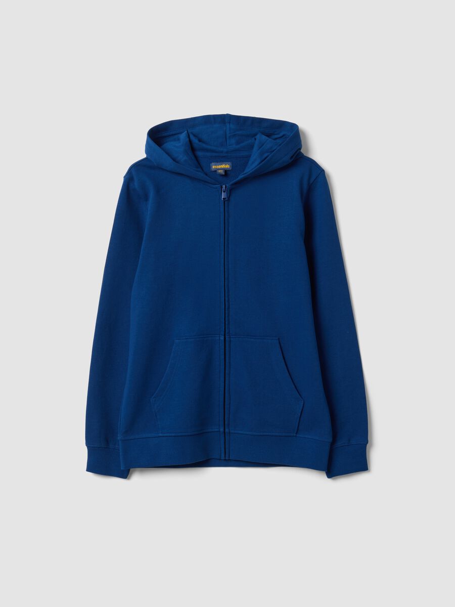 Blue boys&rsquo; organic cotton hoodie, regular fit_0