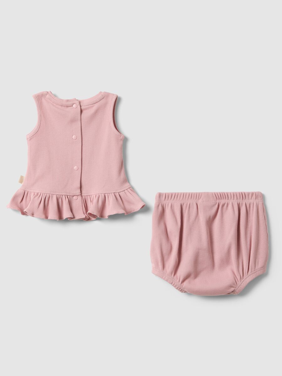 &Rho;&omicron;&zeta; &sigma;ύ&nu;&omicron;&lambda;&omicron; &alpha;&pi;ό &kappa;&alpha;&theta;&alpha;&rho;ό &beta;&alpha;&mu;&beta;ά&kappa;&iota; &gamma;&iota;&alpha; &kappa;&omicron;&rho;ί&tau;&sigma;&iota;&alpha;_1