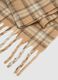 Multicolour Checked Scarf with Fringes_2