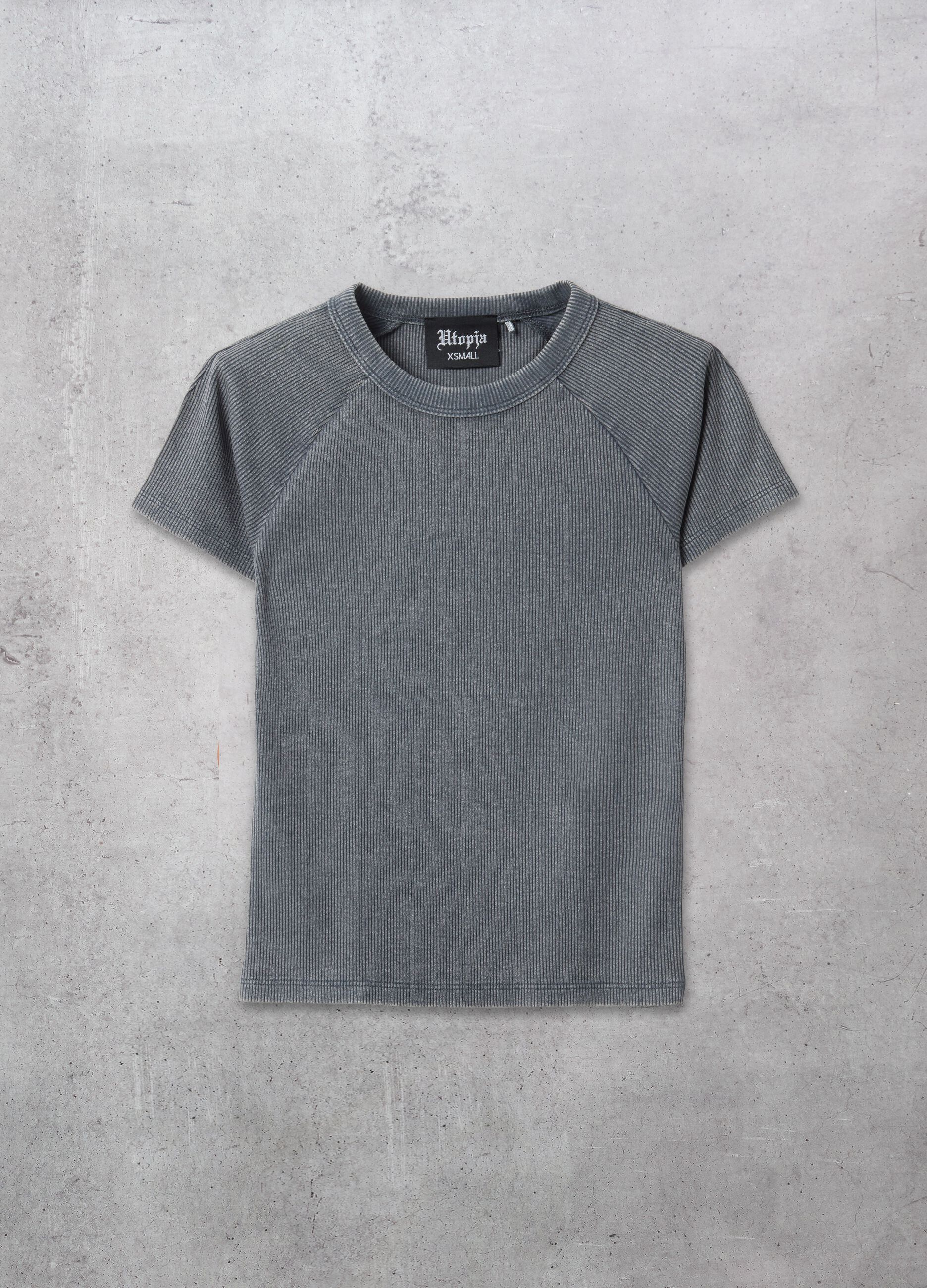 Ribbed Perfect T-shirt Vintage Grey