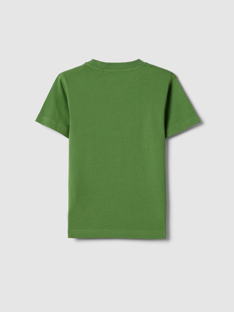 Green pure cotton regular fit T-shirt for children with print_1