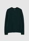 Green Crew Neck Sweater with Regular Fit Jacquard Pattern_4