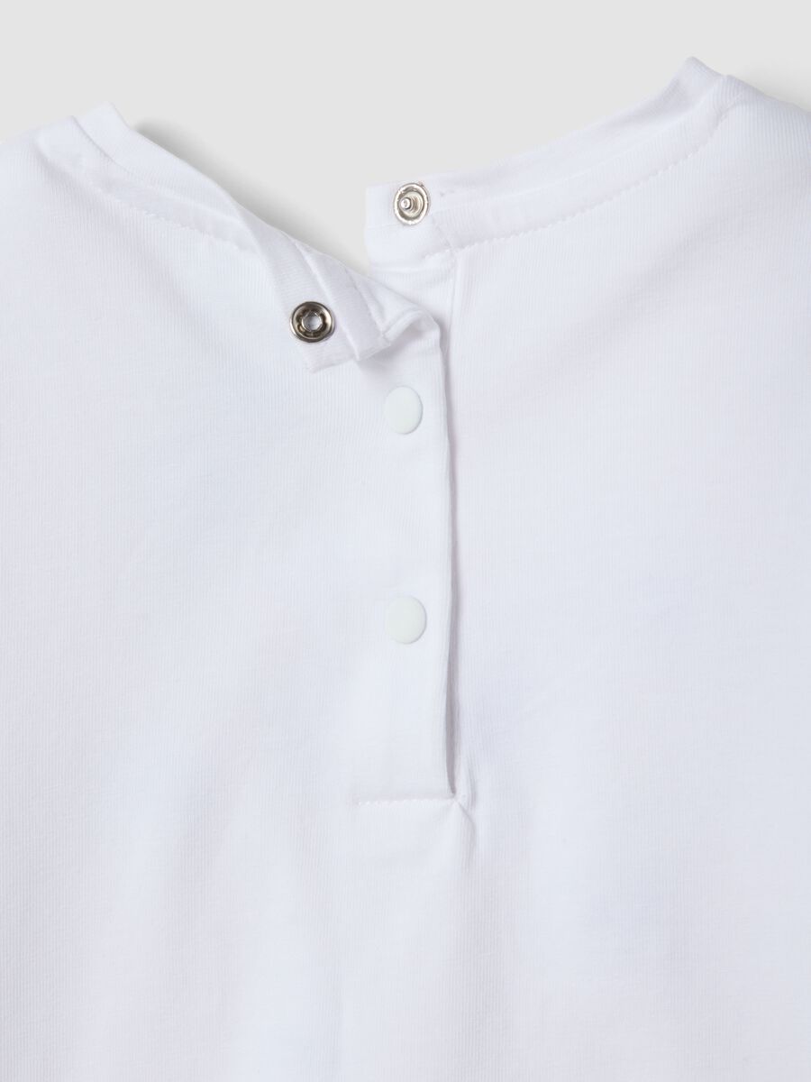 &Pi;&omicron;&lambda;ύ&chi;&rho;&omega;&mu;&omicron; &sigma;&epsilon;&tau; &gamma;&iota;&alpha; &kappa;&omicron;&rho;&iota;&tau;&sigma;ά&kappa;&iota; &alpha;&pi;ό &epsilon;&lambda;&alpha;&sigma;&tau;&iota;&kappa;ό &beta;&alpha;&mu;&beta;ά&kappa;&iota; &mu;&epsilon; &tau;&omicron;&upsilon;&sigmaf; &Alpha;&rho;&iota;&sigma;&tau;ό&gamma;&alpha;&tau;&omicron;&upsilon;&sigmaf;_3