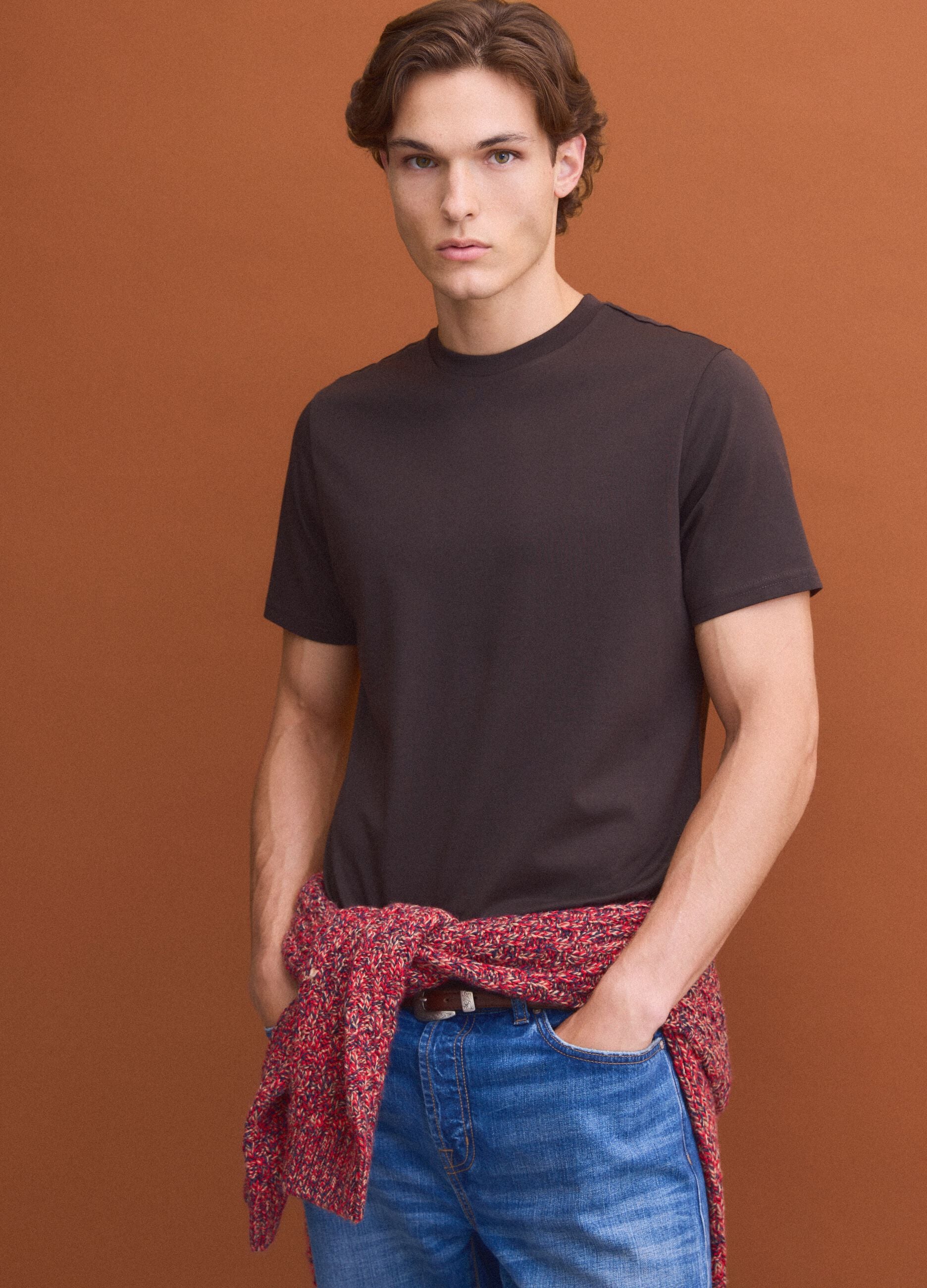 Brown crew-neck T-shirt in pure Supima cotton, regular fit