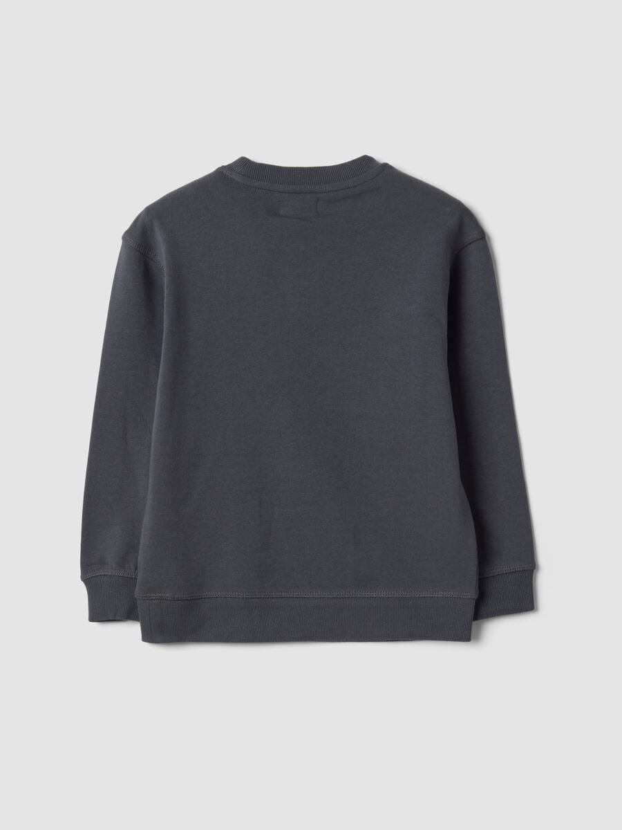 Grey crew-neck sweatshirt in pure organic cotton_1