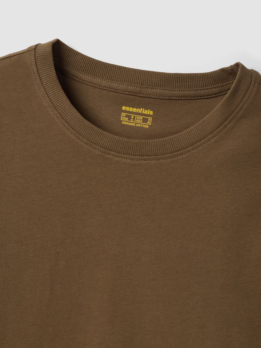 Green crew-neck T-shirt in pure organic cotton, regular fit_2