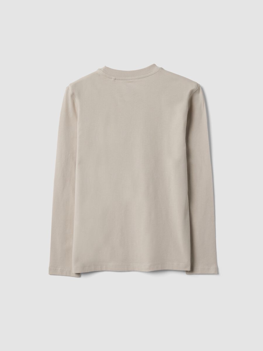 Grey pure organic cotton printed T-shirt for boys_5