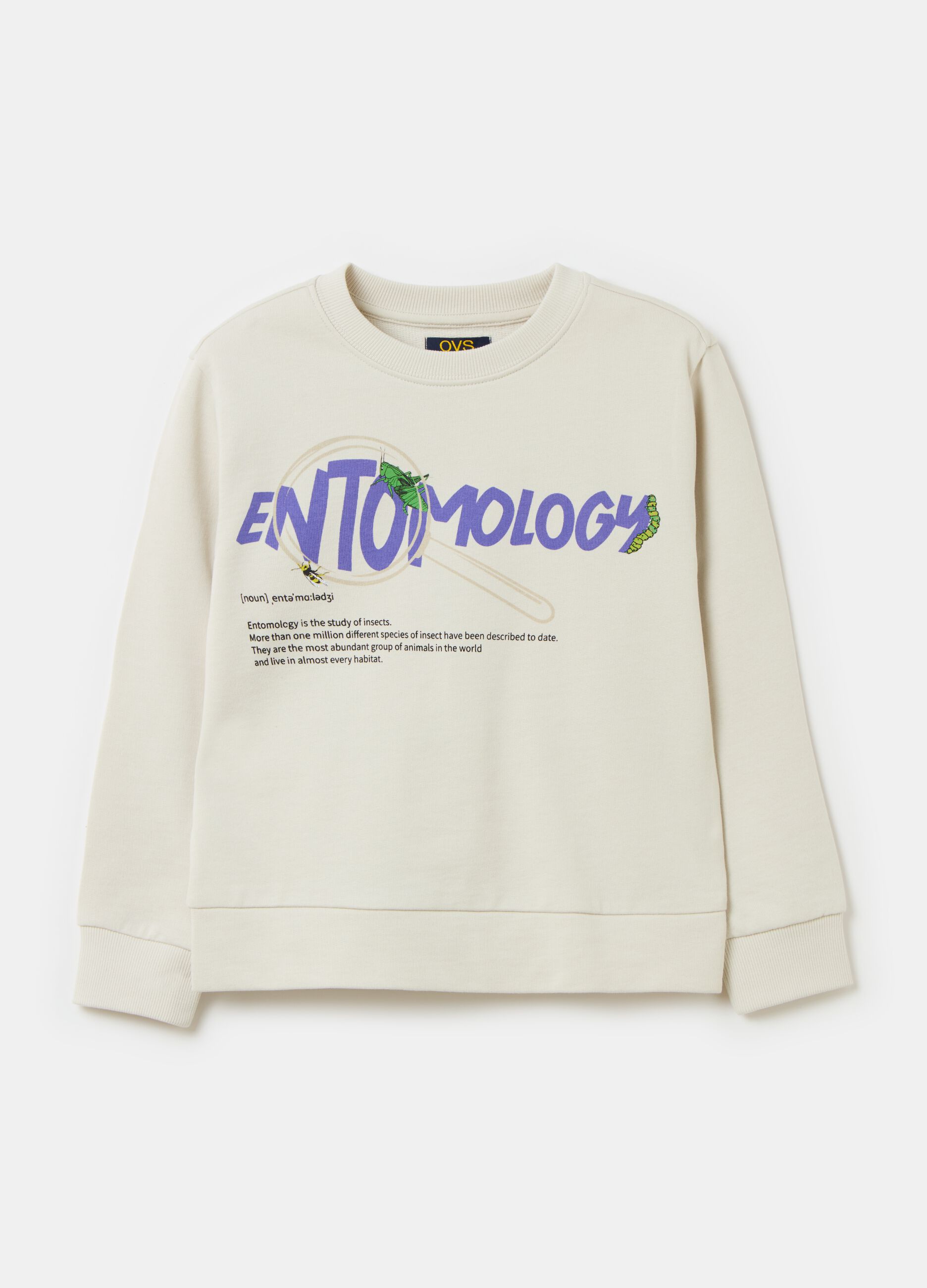 Sweatshirt in cotton with print