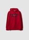 Sweat &agrave; capuche rouge en coton m&eacute;lang&eacute; avec logo Chicago Bulls pour gar&ccedil;on_0