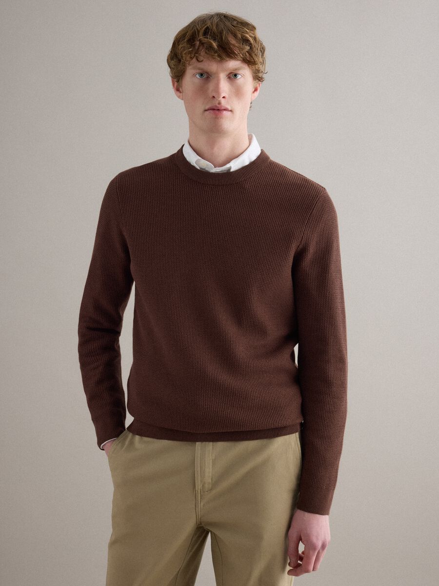 Brown pure cotton crew neck sweater regular fit_0