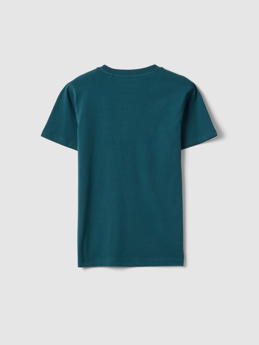 Boys' Regular Fit Green Pure Cotton T-shirt with Print_1