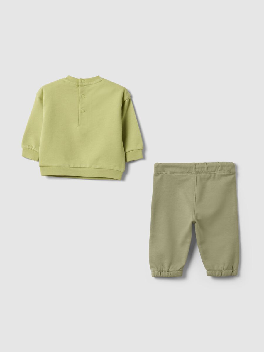 Gr&uuml;nes Baby-Set aus reiner Baumwolle: Sweatshirt und Hose, Regular Fit_1