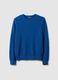 Blue Crew Neck Sweater in Pure Cotton Regular Fit_4