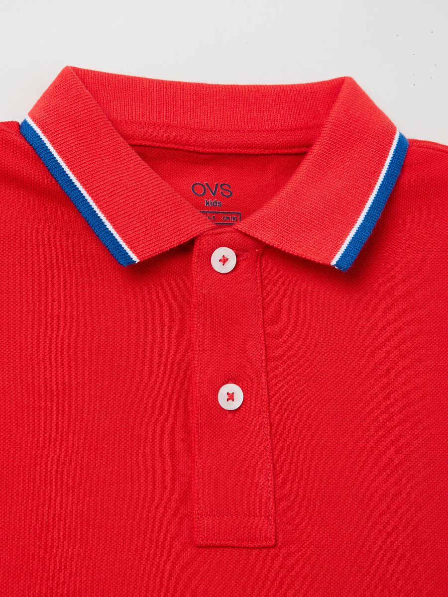 Polo shirt in piquet with striped trim_2