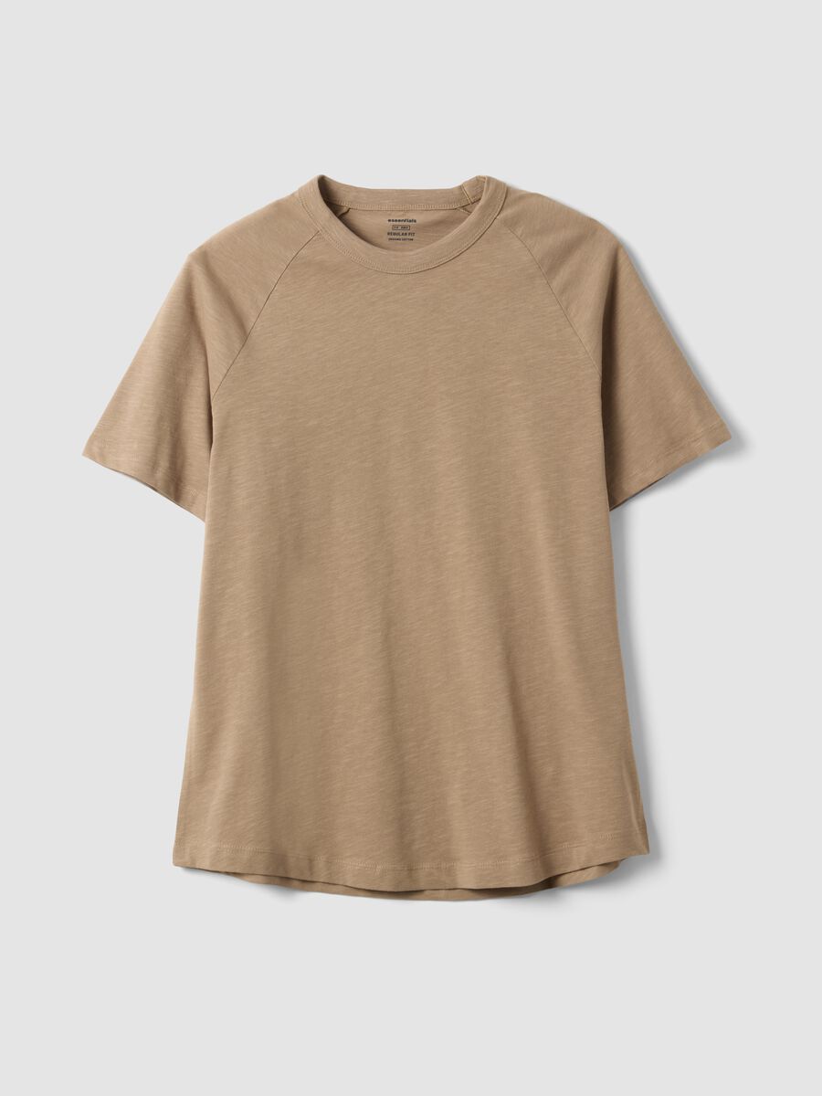 Beige pure cotton regular fit T-shirt_4