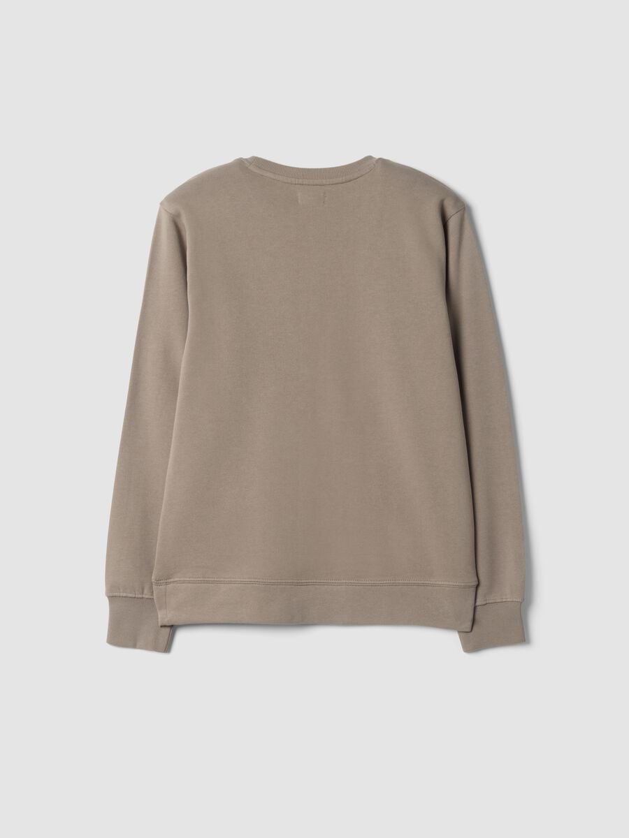Graues Sweatshirt aus 100 % Bio-Baumwolle mit Rundhalsausschnitt_1