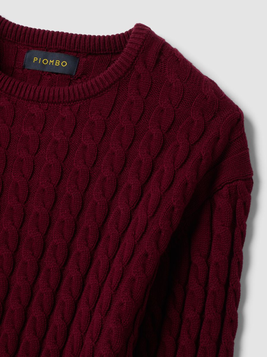 Red crew-neck pure cotton cable-knit jumper, regular fit_1