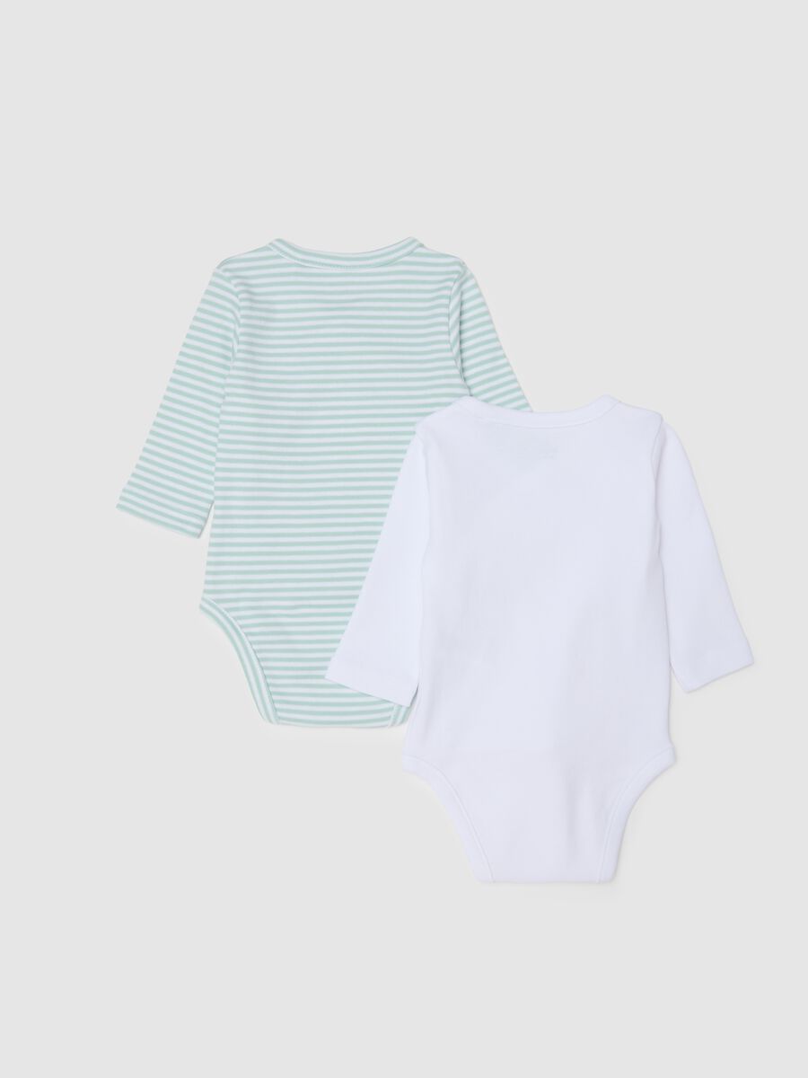 Multicolour Long Sleeve Bodysuit Twin Pack for Infants in Pure Cotton_1