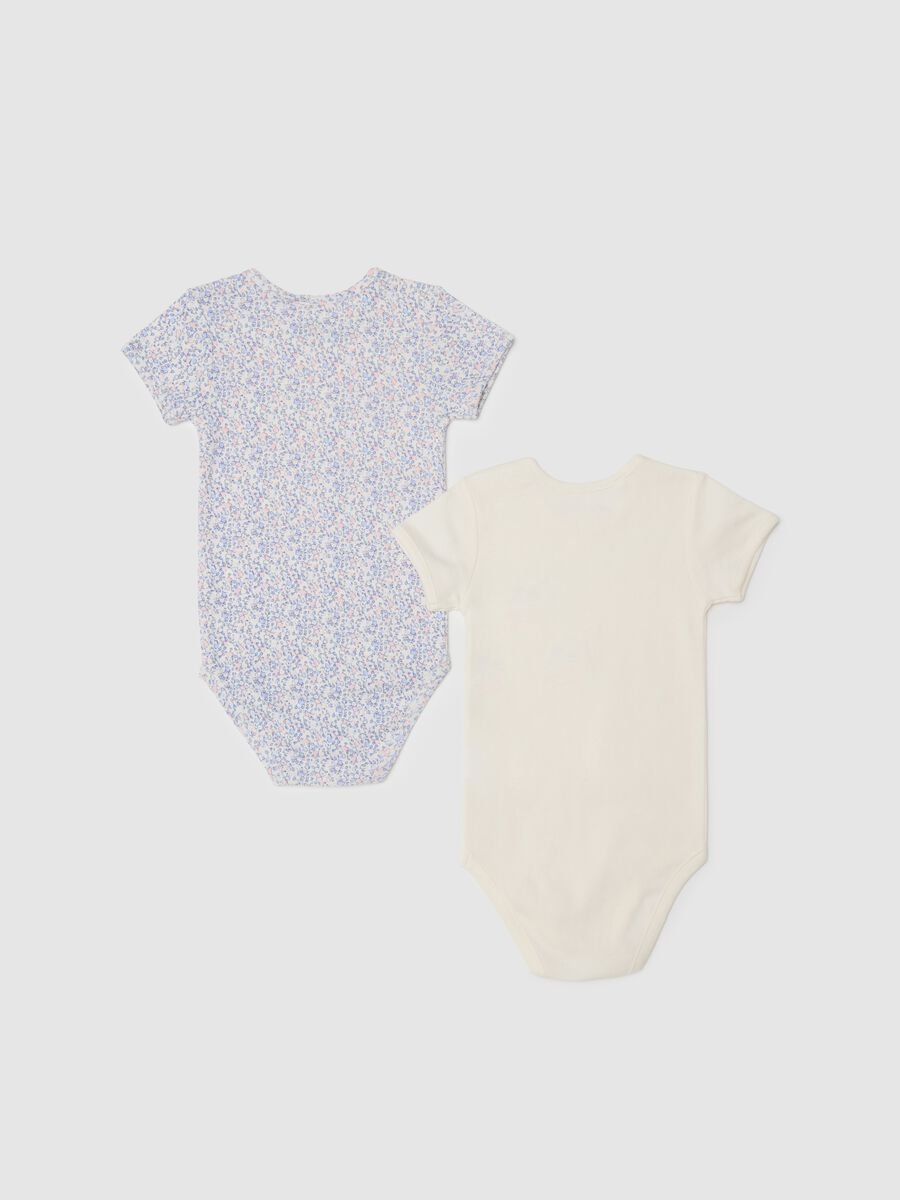 Two-pack multicolour pure cotton bodysuits for babies_1