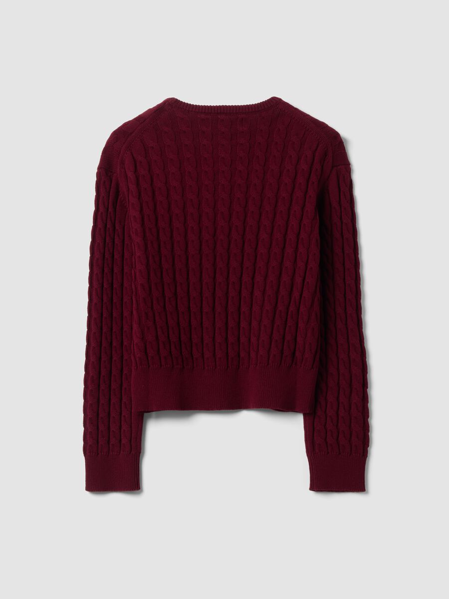 Red crew-neck pure cotton cable-knit jumper, regular fit_2
