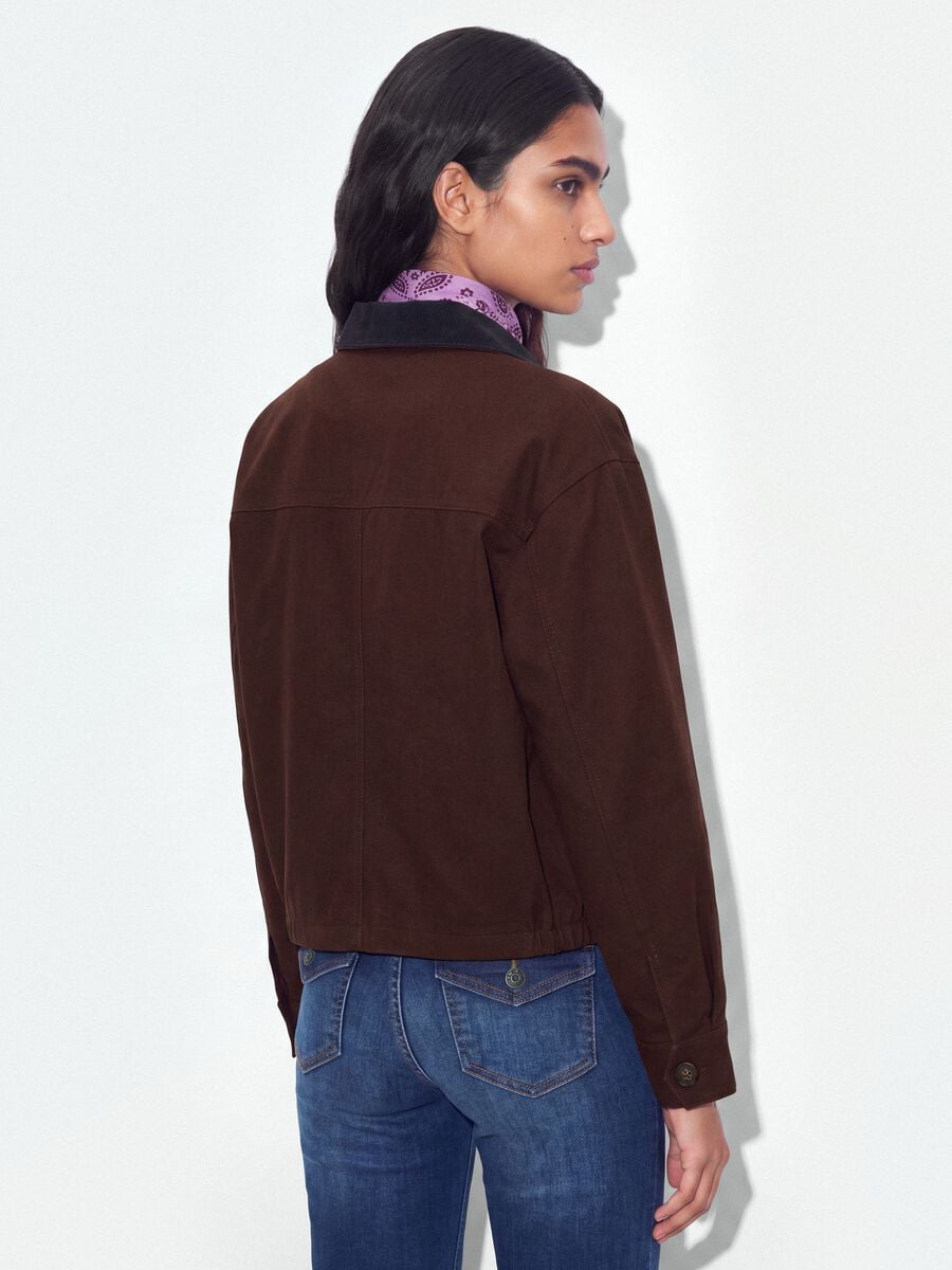 Brown pure cotton bomber jacket with contrasting collar, regular fit_3