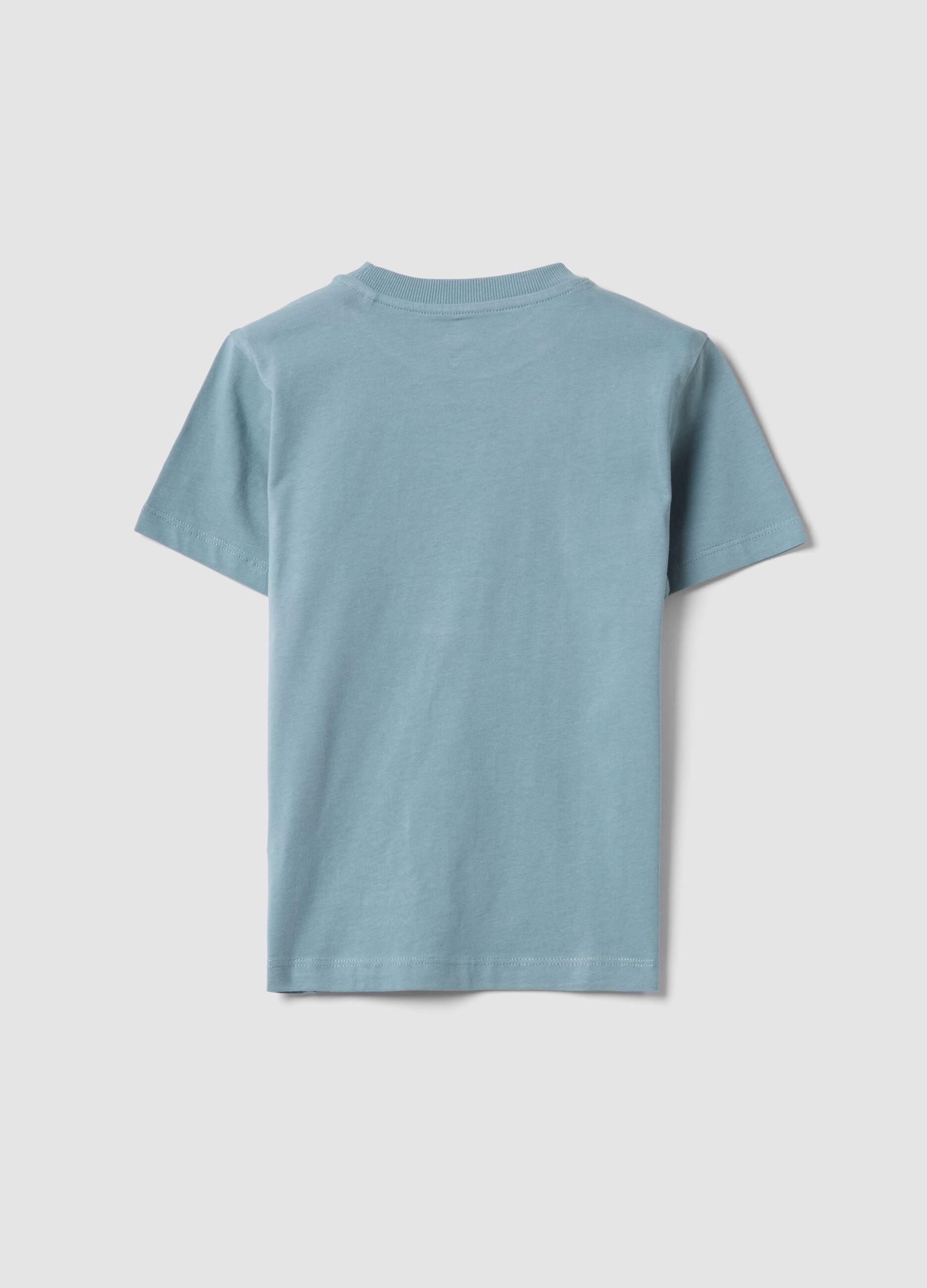 Blue pure cotton boys&rsquo; T-shirt with surf print, regular fit