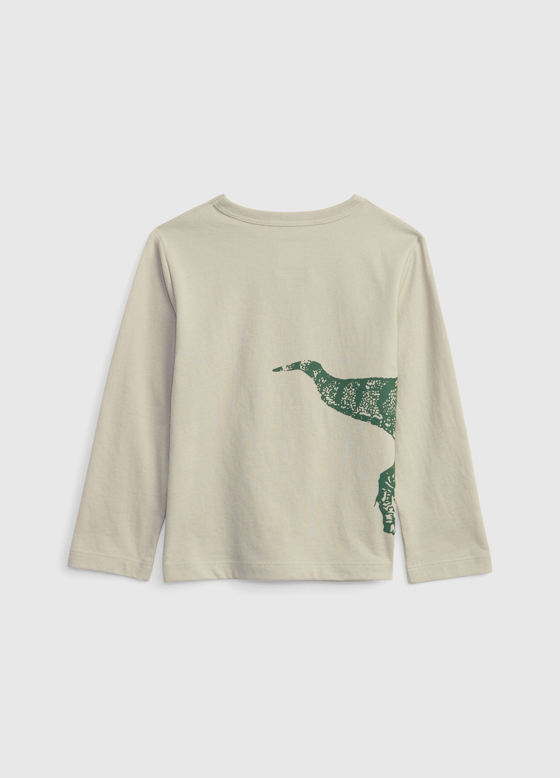 Camiseta con estampado dinosaurio