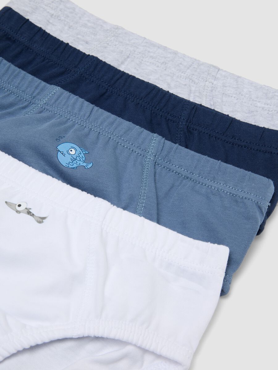 Mehrpack Jungen-Slips aus reiner Baumwolle in Multicolor_2