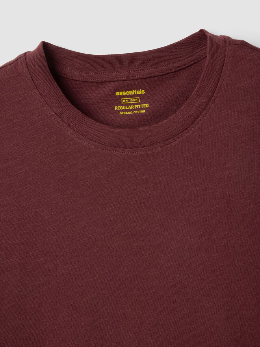 Brown pure cotton short sleeve t-shirt regular fit_1