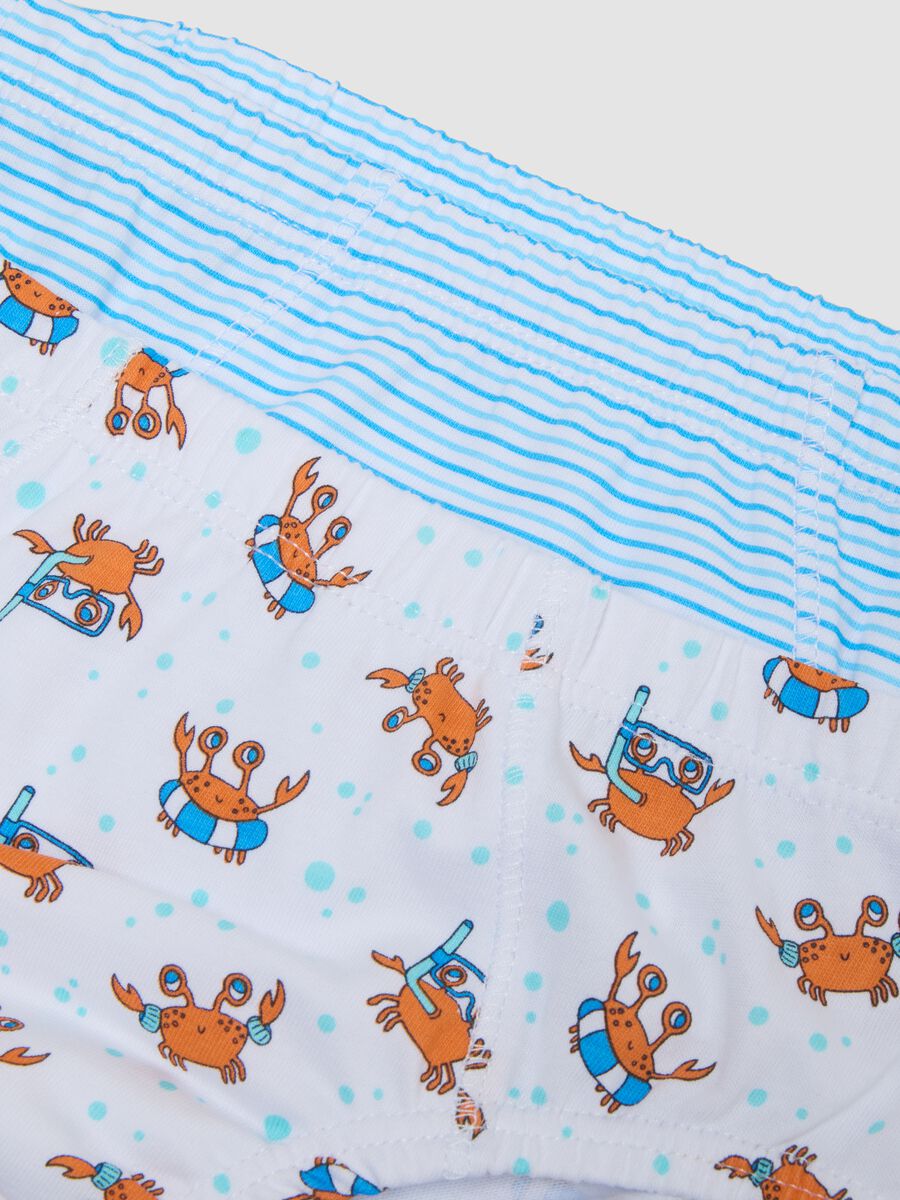 Mehrpack Kinder-Slips aus reiner Baumwolle in Multicolor_2