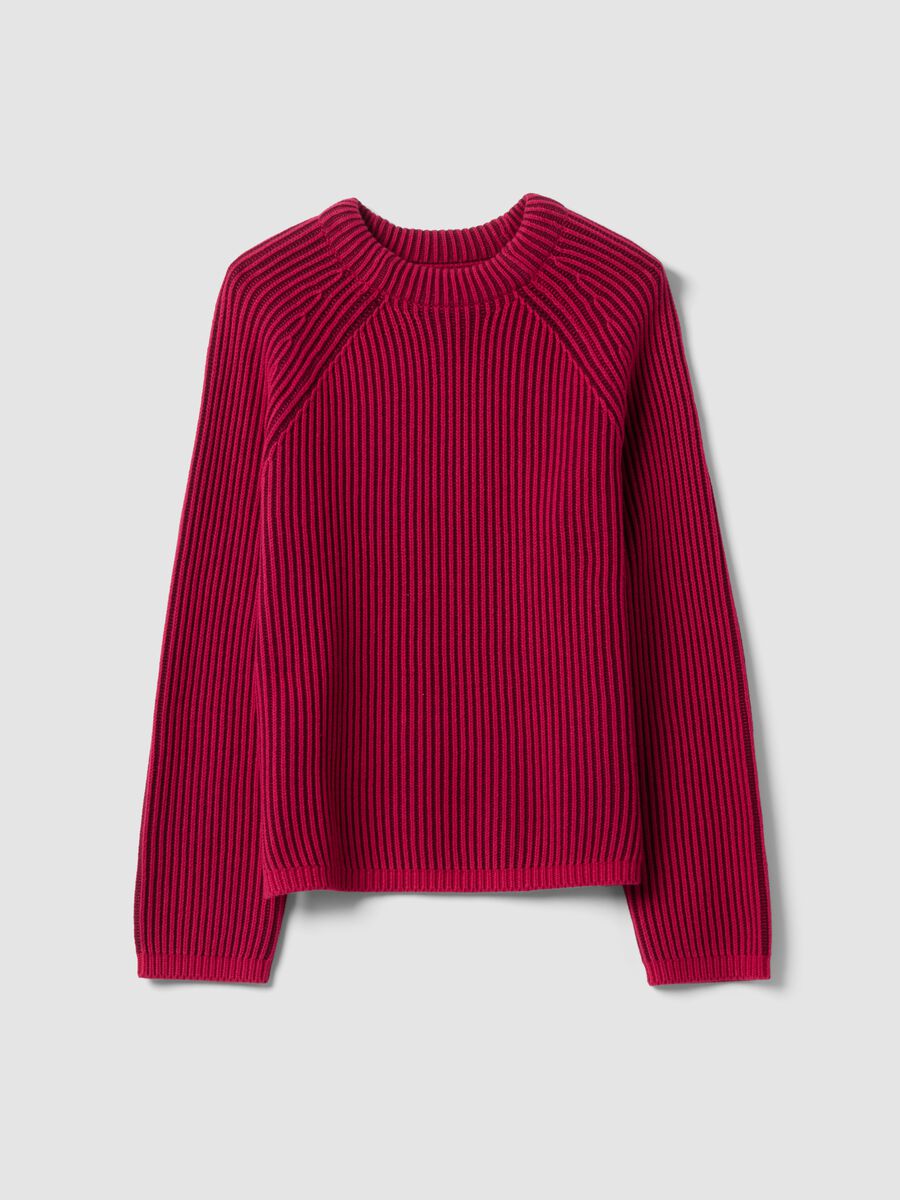 Mehrfarbiger Rippstrick-Pullover aus reiner Baumwolle mit Rundhals, Regular Fit_0