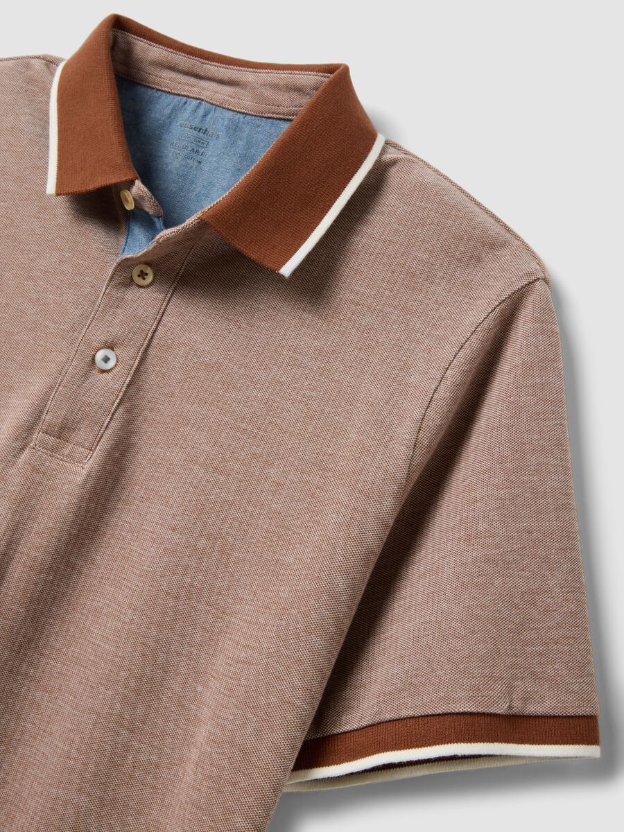 Brown pure cotton polo with classic collar_5