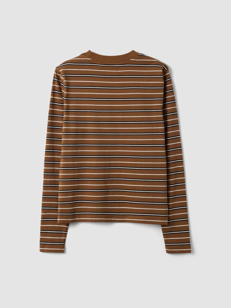T-shirt multicolor in puro cotone a righe con girocollo regular fit_6
