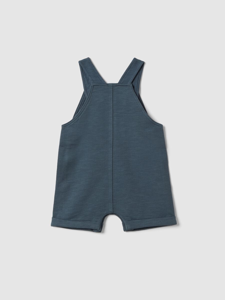 &Beta;&rho;&epsilon;&phi;&iota;&kappa;ή &mu;&pi;&lambda;&epsilon; &sigma;&alpha;&lambda;&omicron;&pi;έ&tau;&alpha; &alpha;&pi;ό &kappa;&alpha;&theta;&alpha;&rho;ό &beta;&alpha;&mu;&beta;ά&kappa;&iota; &kappa;&alpha;&nu;&omicron;&nu;&iota;&kappa;ή &epsilon;&phi;&alpha;&rho;&mu;&omicron;&gamma;ή_1