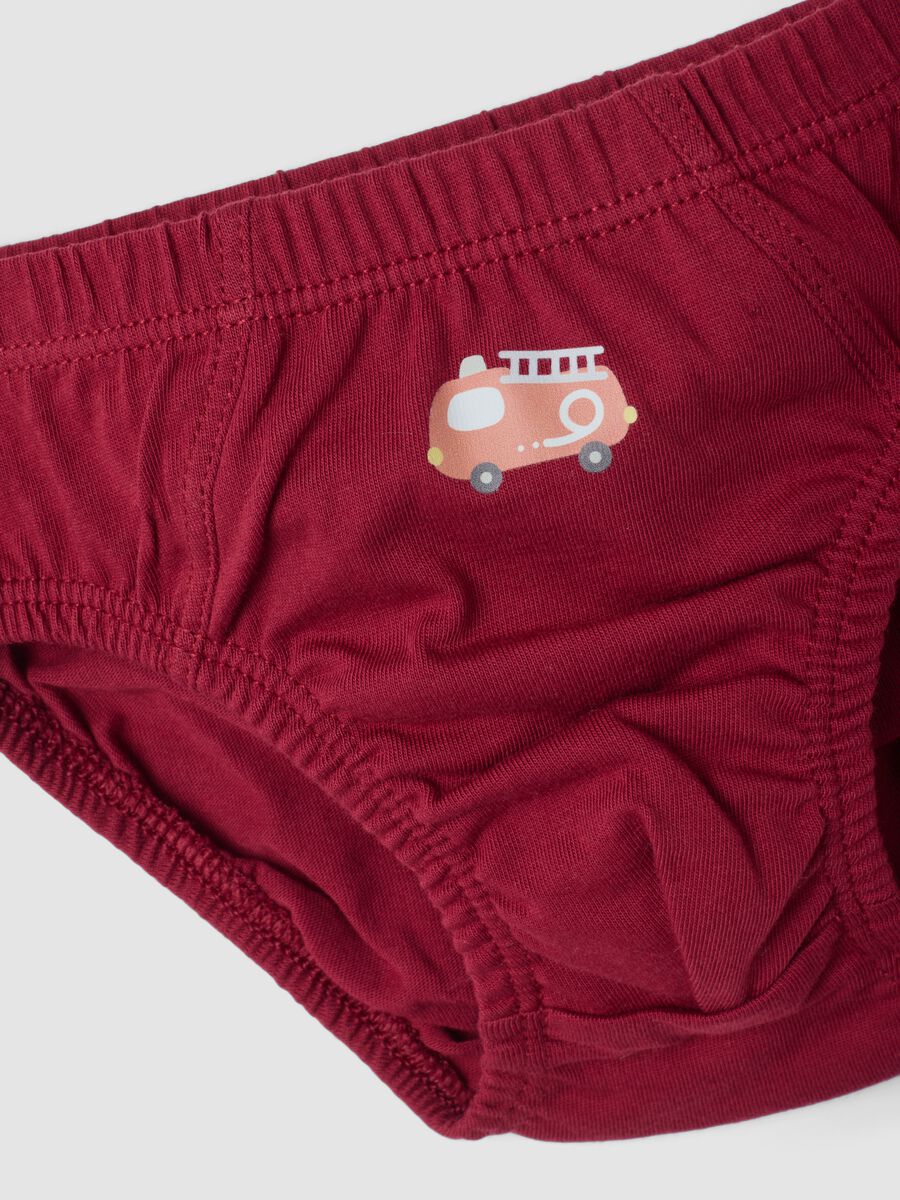 Pack of five multicoloured briefs in pure organic cotton_2