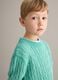 Green pure cotton regular fit pullover for children_0