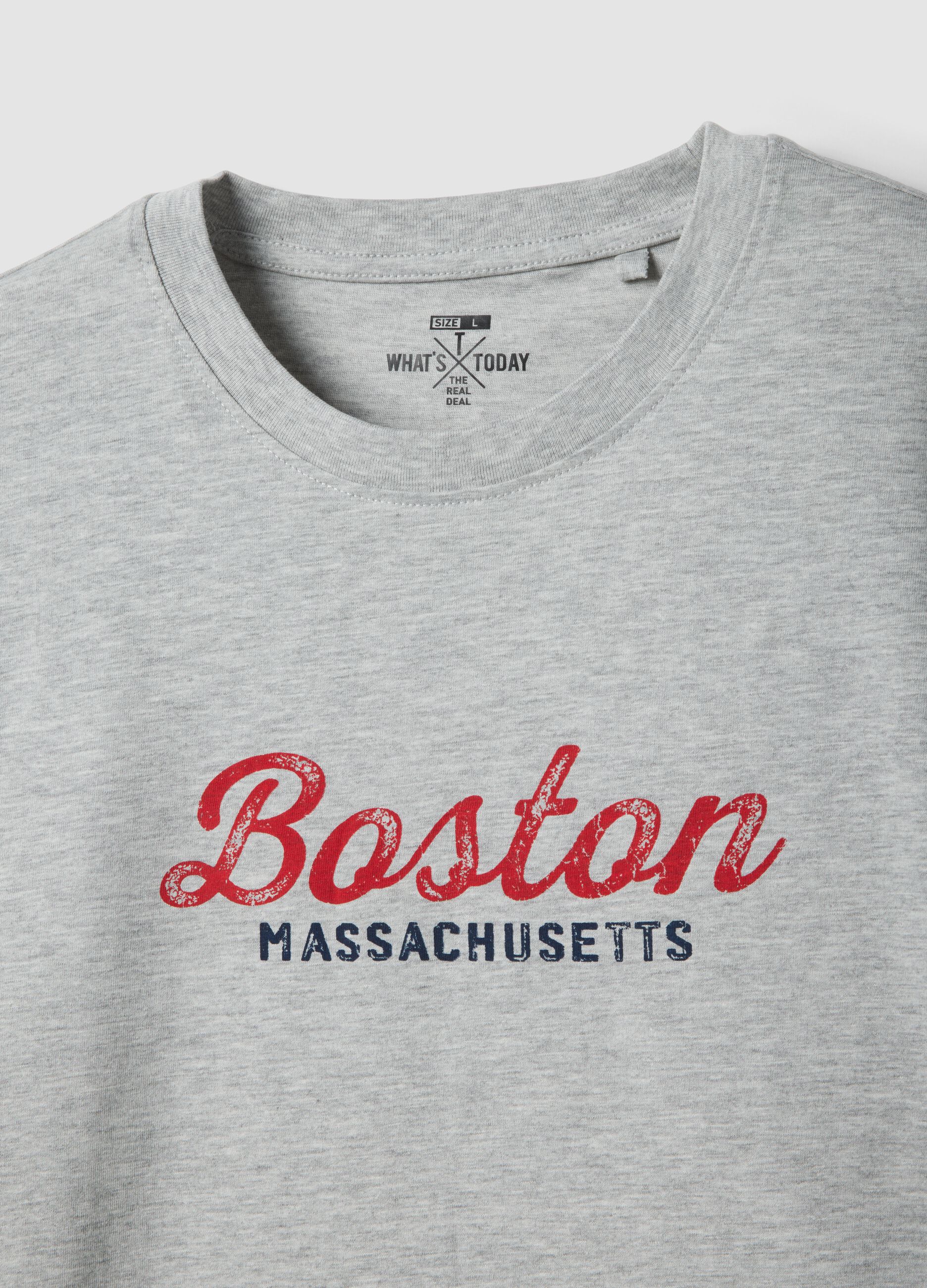 Graues T-Shirt aus reiner Baumwolle mit Print, Regular Fit