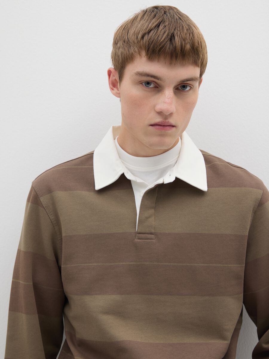 Brown pure cotton regular fit polo_3