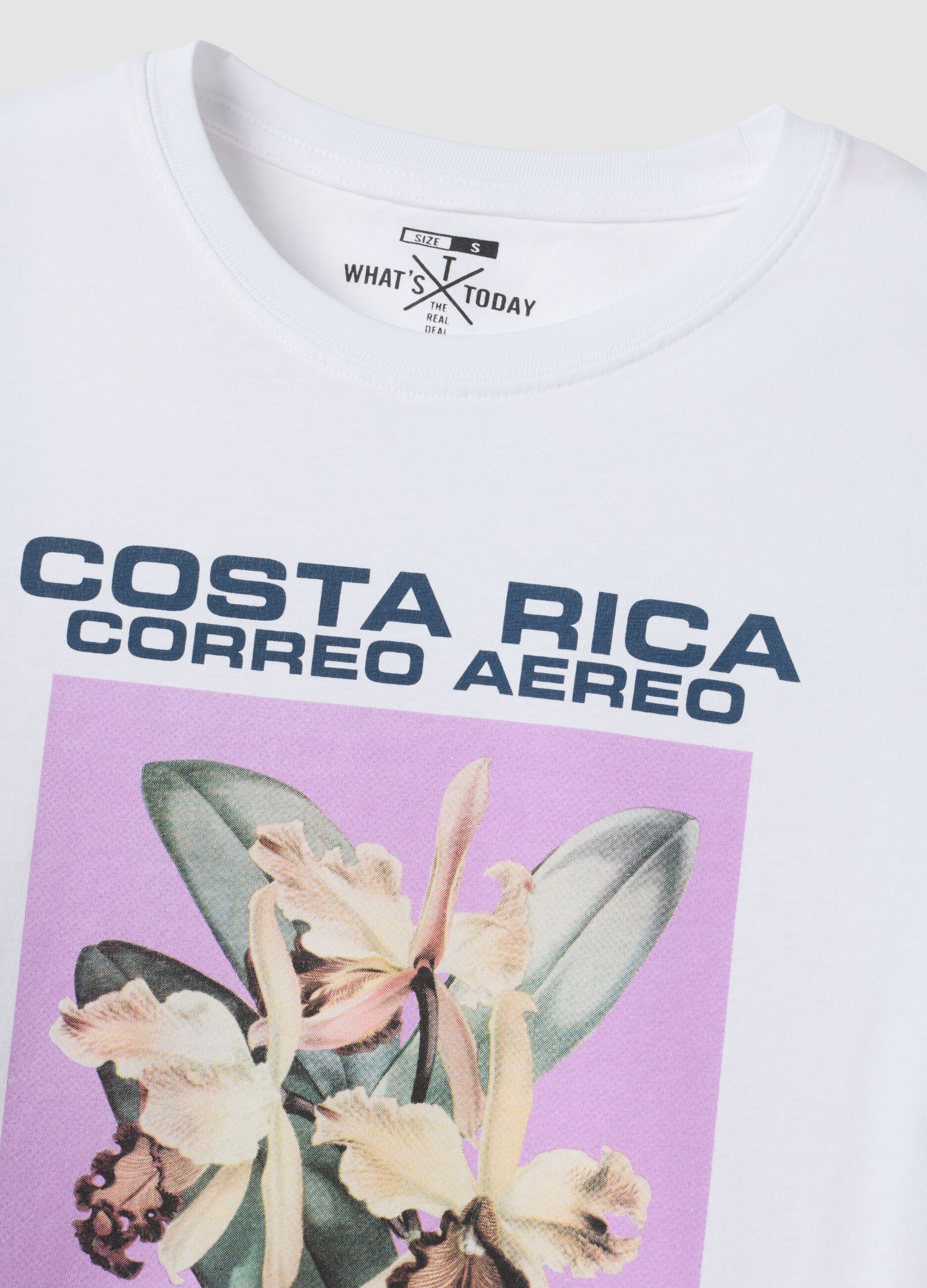 T-shirt branca em algod&atilde;o puro com estampado frontal