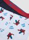 3-pack of Spider-Man print organic stretch cotton midi boxer shorts_3
