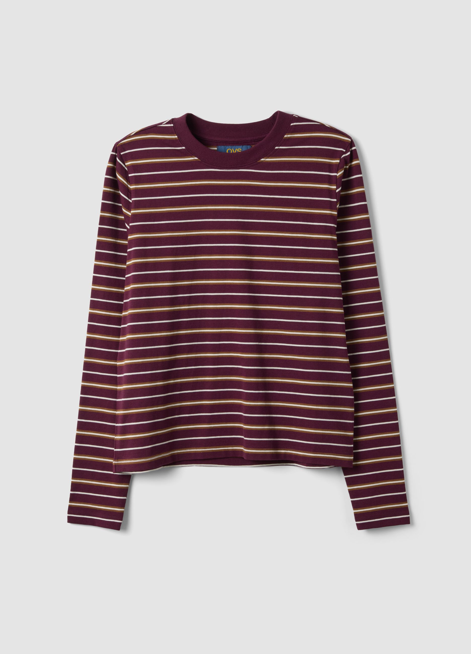 T-shirt multicolor in puro cotone a righe con girocollo regular fit