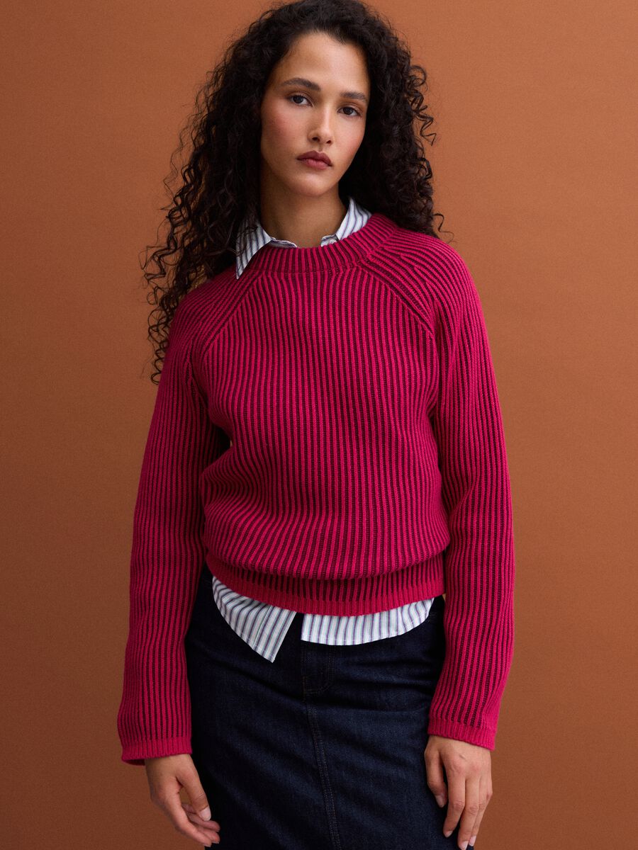 Multicolour pure cotton ribbed crew-neck jumper, regular fit_1