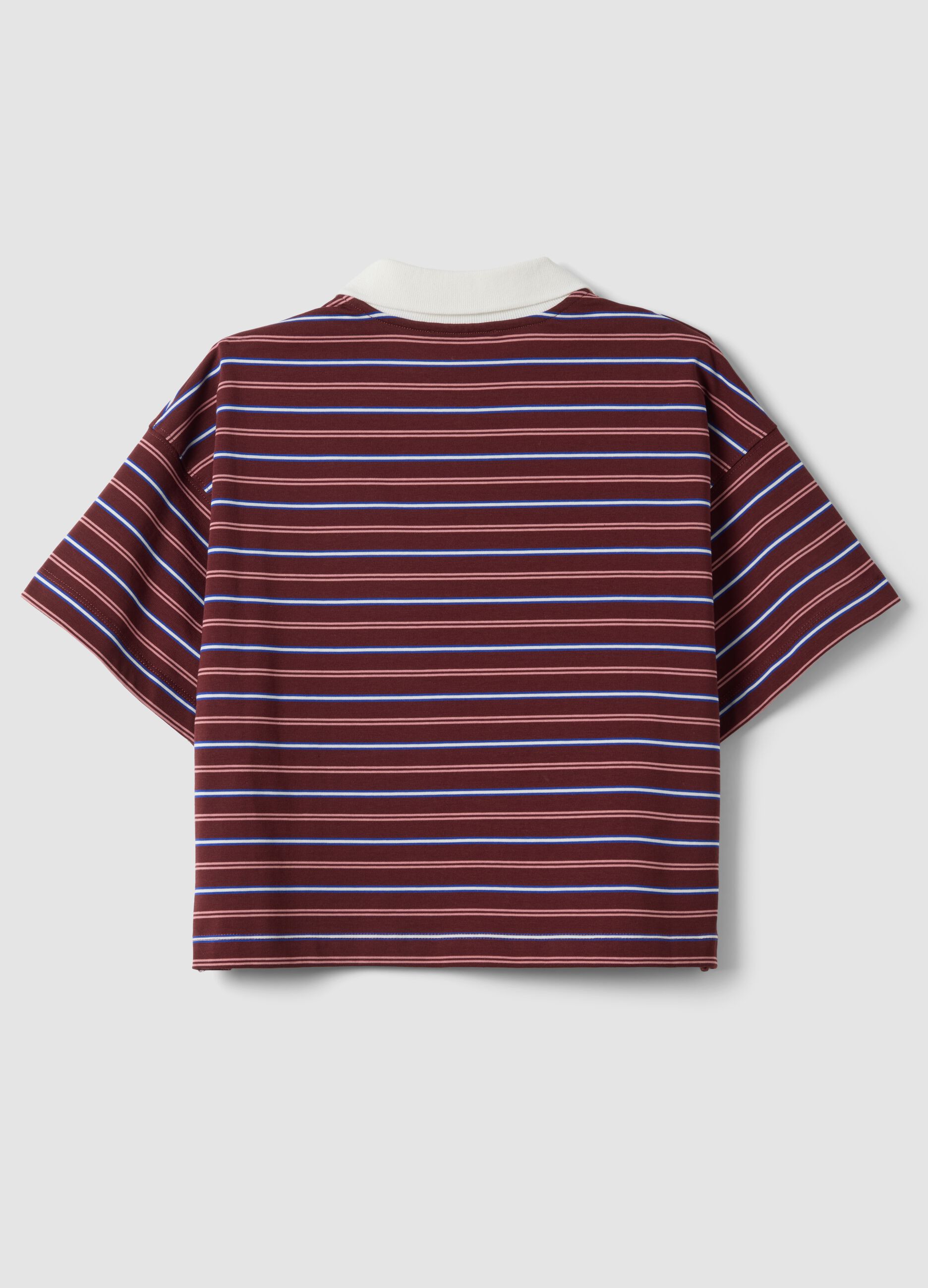 Multicolour striped pure cotton polo with oversized collar