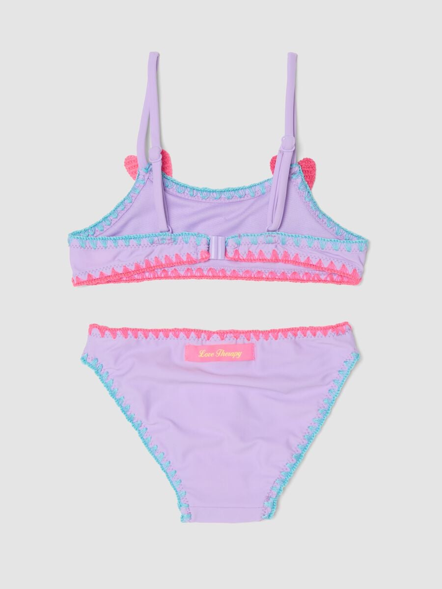Purple stretch bikini with appliqu&eacute; hearts_1