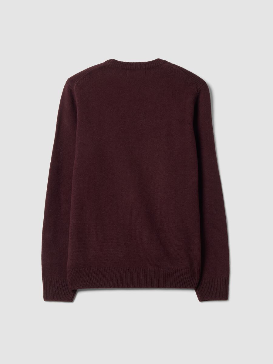 Burgundy crew-neck jersey knit jumper, regular fit_2