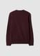 Burgundy crew-neck jersey knit jumper, regular fit_2