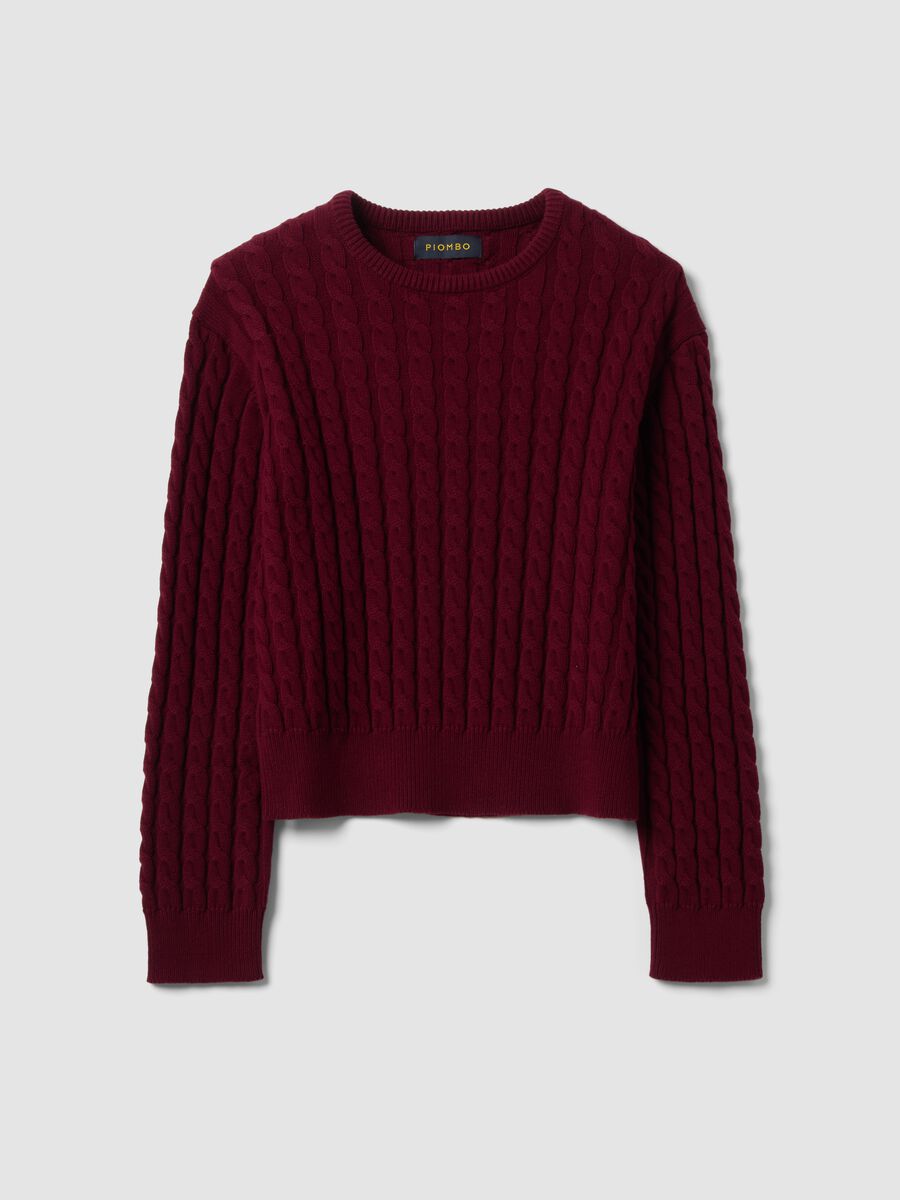 Red crew-neck pure cotton cable-knit jumper, regular fit_0
