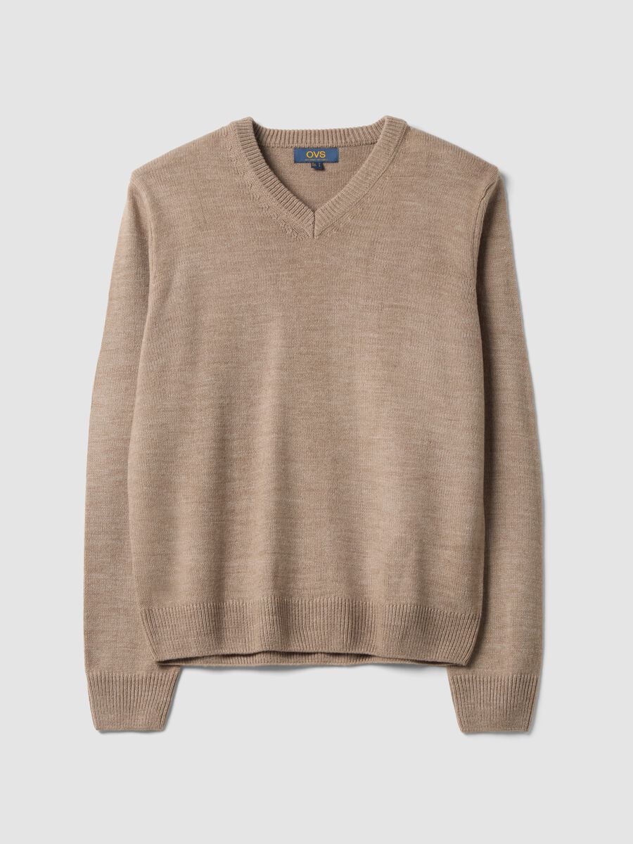Brauner V-Ausschnitt-Pullover, Regular Fit_0
