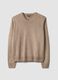 Brauner V-Ausschnitt-Pullover, Regular Fit_0